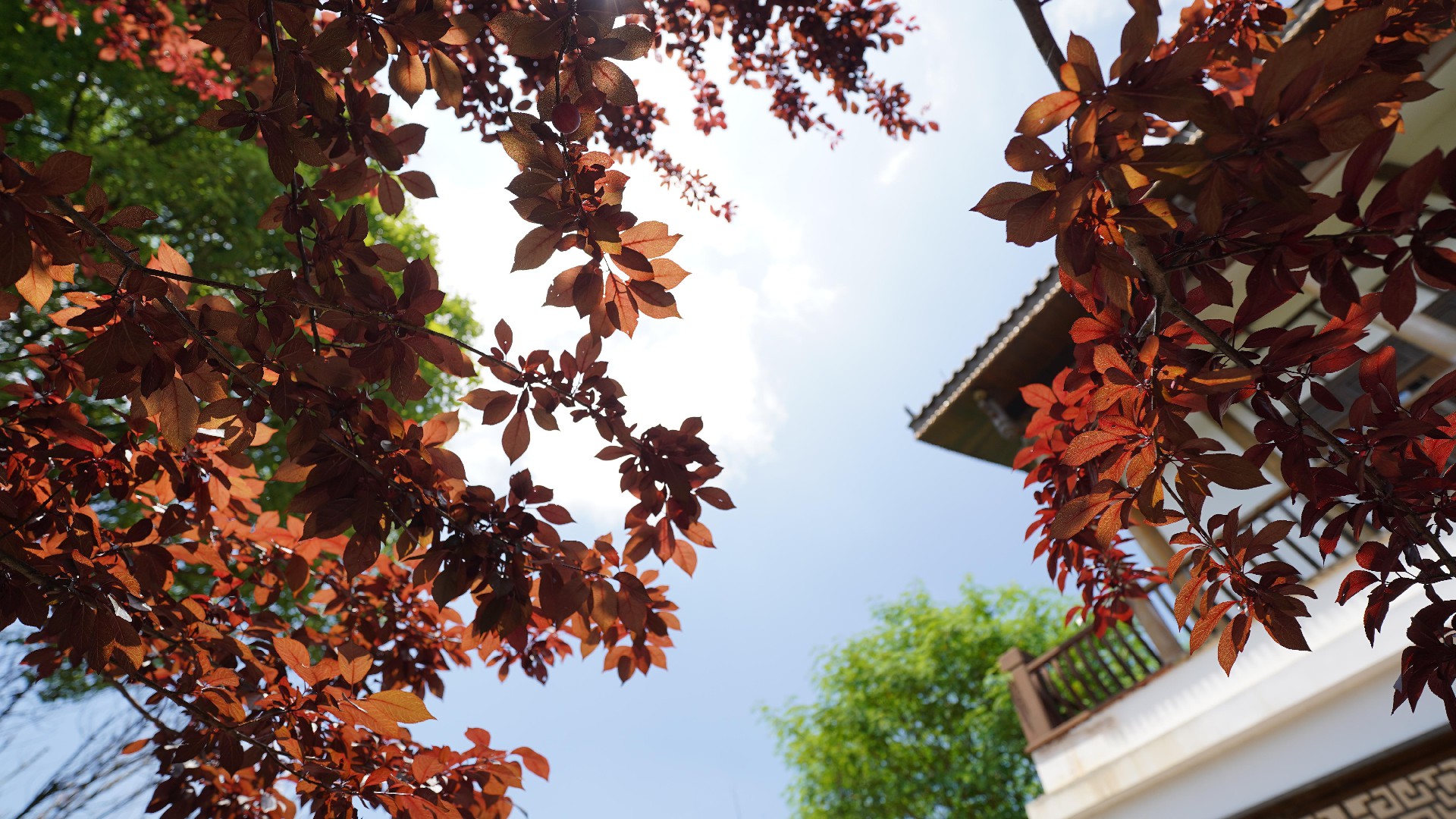 先贤朱熹｜三朝（元、明、清）的官方认证